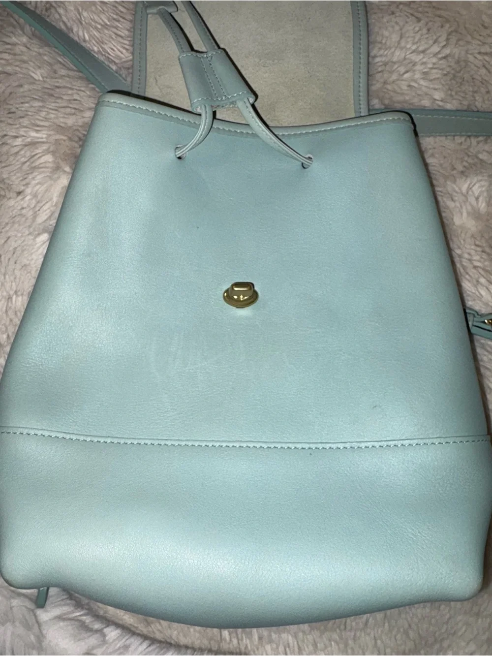 VTG (rare light green) PRISTINE COACH SMALL LEATHER DAYPACK